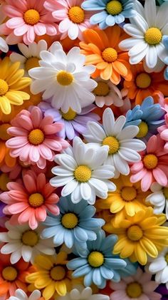 many different colored flowers are arranged together