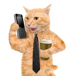 an orange cat wearing a tie and holding a cell phone in his hand with a cup of coffee next to it