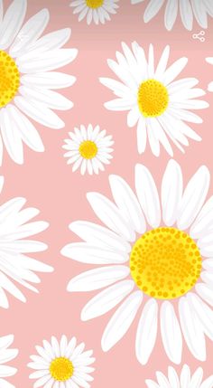 Wallpaper Wallpaper Iphone Boho, Shotting Photo, Simple Phone Wallpapers, Sunflower Wallpaper, Cute Flower Wallpapers, Spring Wallpaper