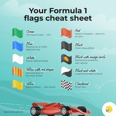 a poster with different types of flags in the shape of a race car and its description