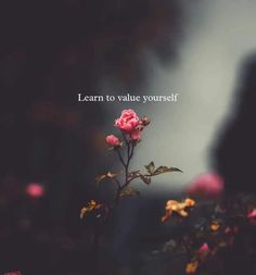 a pink rose with the words learn to value yourself written on it in front of a dark background