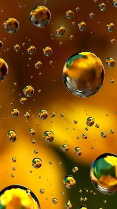 water droplets are seen on the surface of a yellow and green flower petals, as well as in this close up photo