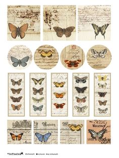 many different butterflies are shown on this page