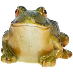 a close up of a frog on a white background