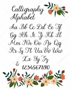 calligraphy alphabet with flowers and leaves on white background stock photo - art printable