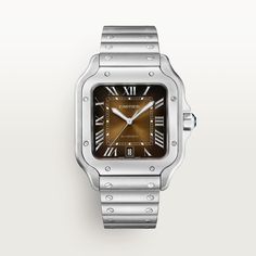 Cartier Watch, Cartier, Santos