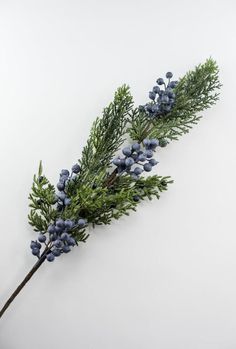 Seeding juniper with navy blue juniper berries  18" Blue Juniper, Greenery Christmas, Navy Christmas, Blue Christmas Decor, Blue Berries, Christmas Berries, Juniper Berries, Holiday Greenery, Faux Greenery