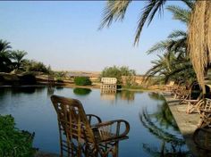 two chairs sitting on the edge of a pool in front of palm trees and water