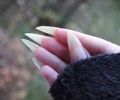 Natural Stiletto Nails, Long Natural Nails, Claw Nails, Photographie Portrait Inspiration, Pretty Hands, Stiletto Nails, Cute Acrylic Nails, Swag Nails