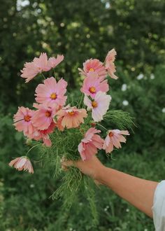 a person holding pink flowers in their hand