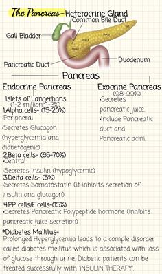 an info sheet describing the different types of pancreas