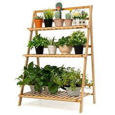 a wooden shelf filled with potted plants