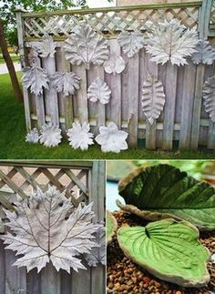 some white leaves are hanging on the fence and in front of it is a green leaf