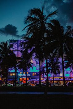 palm trees line the street at night in front of an apartment building with neon lights