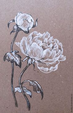 a drawing of two flowers on brown paper