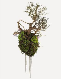 an artificial tree with moss growing out of it's roots and branches on top