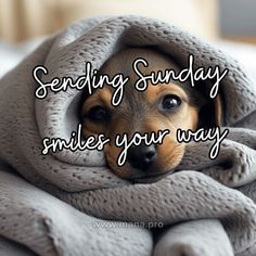 a dog under a blanket with the words sending sunday smiles your way