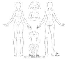 an image of the human body with different angles and positions for each person to see