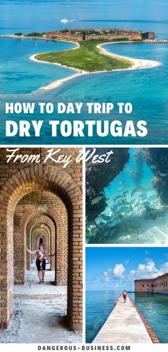 how to day trip to dry tortugas from key west