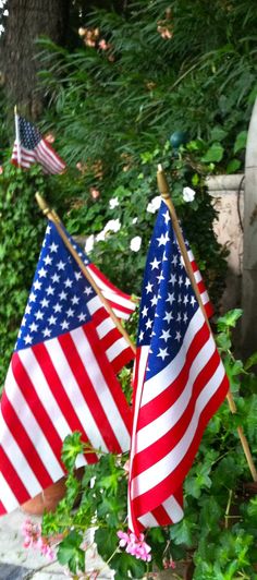 two american flags are next to each other in front of some bushes and flowers on the sidewalk