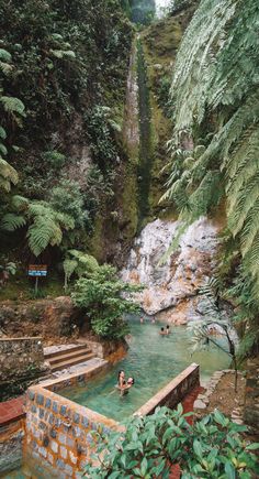 people swimming in a pool surrounded by greenery and trees, next to a waterfall