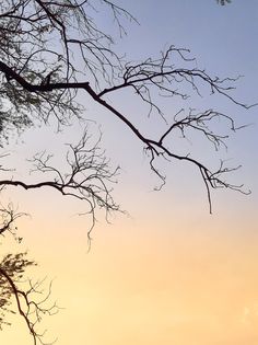 an airplane is flying in the sky at sunset or dawn with no clouds on it