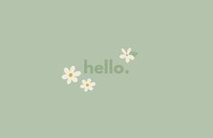 the word hello written with daisies on a green background