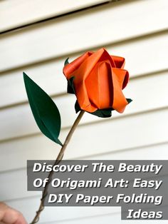 Explore the intricate world of origami art with our easy DIY paper folding ideas. From simple shapes to complex designs, unleash your creativity and create stunning pieces with just a piece of paper. Dive into the beauty of origami art today! Paper Folding Ideas, Origami Techniques, Folding Ideas, Art Easy