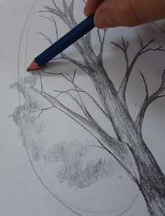 someone is drawing a tree with pencils on paper