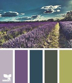 the color scheme is lavender and green