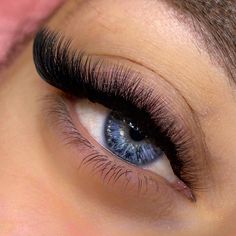 Perfect Eyelashes, Brow Lash, Lash Extensions, Blue Eyes, Eyelashes, Lashes, Makeup, Beauty, Color