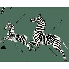 two zebras are racing each other on the same green background with arrows pointing in opposite directions