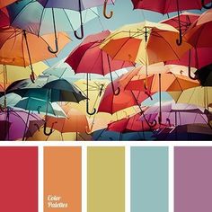 there are many umbrellas with different colors