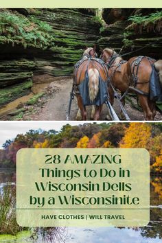 two horses pulling a carriage down a river with trees in the background and text overlay that reads 28 amazing things to do on wisconsin dells by a wisconsin state