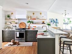 a dog laying on the kitchen floor in front of an oven and counter top area