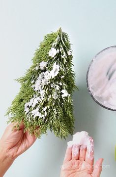 two hands are holding soap next to a small christmas tree