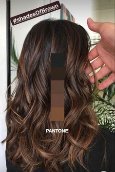 Black Hair Balayage, Brown Hair Looks, Brown Hair Inspo, Dark Hair With Highlights, Long Hair Color