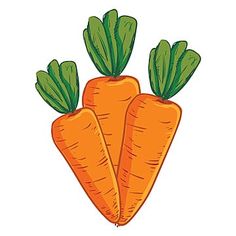 three carrots with green tops are shown in this cartoon style illustration on a white background