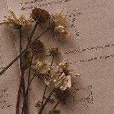 dried flowers laying on top of an open book with writing in russian and english letters