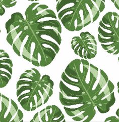 a green and white tropical leaf pattern