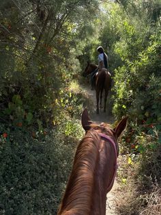 two people riding horses on a trail in the woods