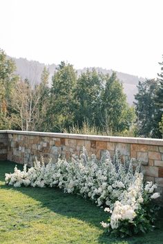 white flowers line the side of a stone wall