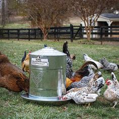 16.87“ H x 15.75“ W x 15.75“ D, 5.9 lbs Made in the USA Capacity: 5 Gallon Handles up to 75 hens Constant flow of water in maintained by vacuum Water stays cool and clean Made of heavy duty galvanized steel Water fountain Tucker Murphy Pet™ | Tucker Murphy Pet™ Rosario Metal Wall Chicken Water Fountain 16.87 H x 15.75 W x 15.75 D in Stainless Steel | 16.87" H X 15.75" W X 15.75" D | Wayfair Small Chicken Coops, Poultry Feeders, Spacious Backyard, Chicken Waterer, Chicken Coop Run, Chickens And Ducks, Chicken Feeder, Raising Backyard Chickens, Metal Chicken