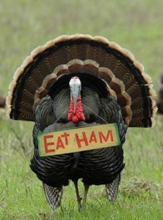 a turkey with a sign that says eat ham