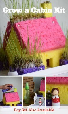 a collage of photos showing how to grow a cabin kit with grass growing out of the roof