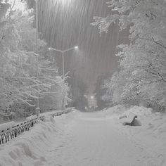 a snow covered road with trees and street lights