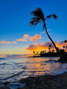 a palm tree is silhouetted against the setting sun on a tropical beach in hawaii