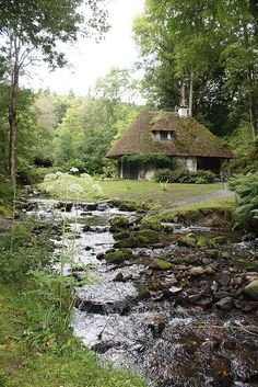 a stream running through a lush green forest next to a small house with a thatched roof