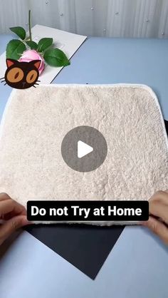 someone is holding a white rug with a cat on it and the words do not try at home