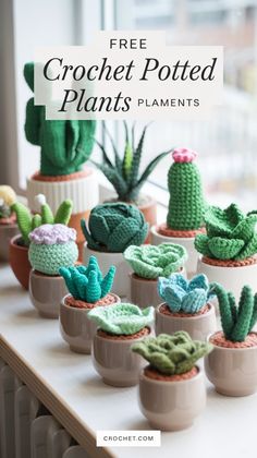 crochet potted plants with text overlay